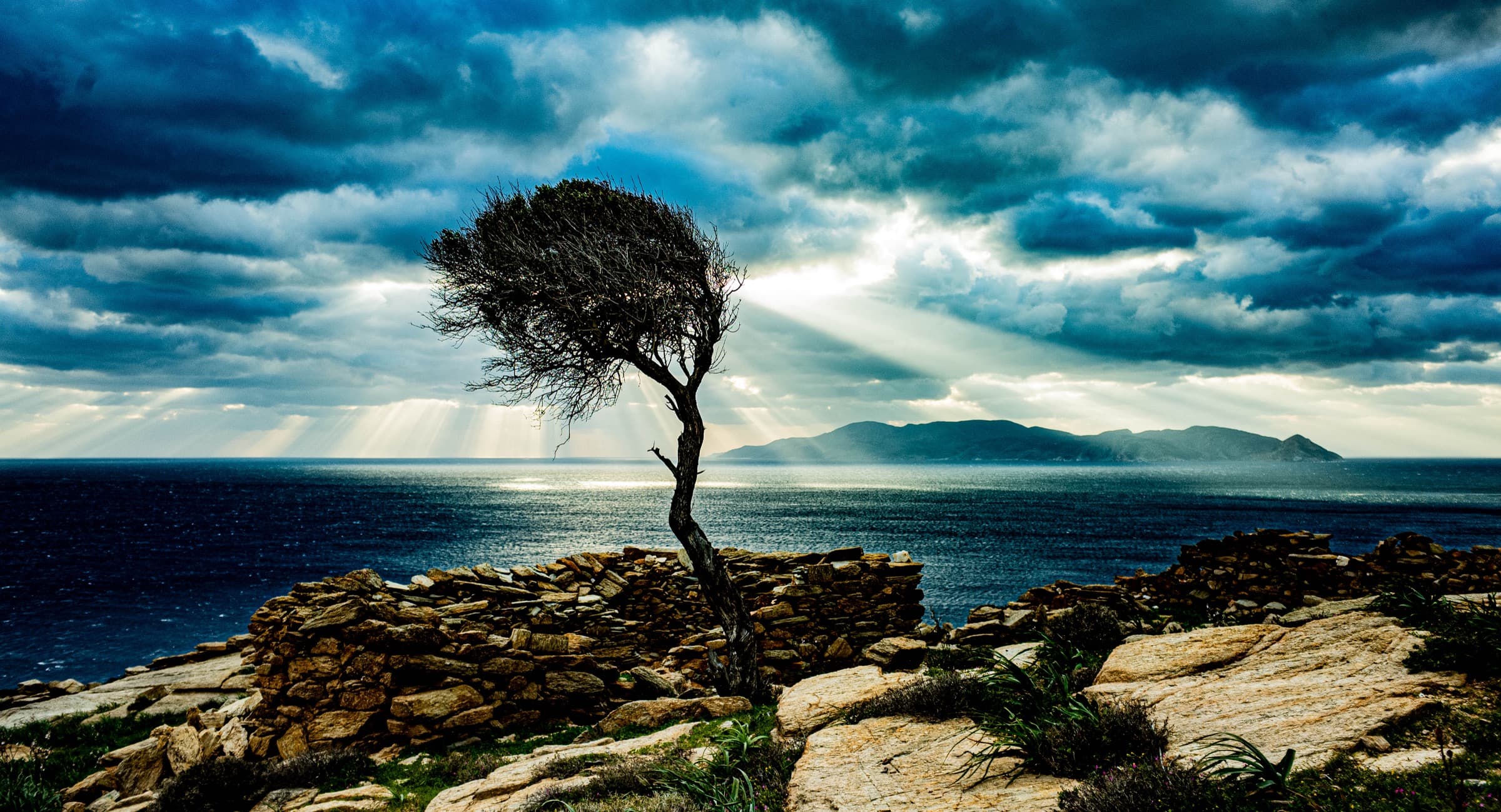 Ios landscape by Paul Raphael — wind-bent tree against Aegean light